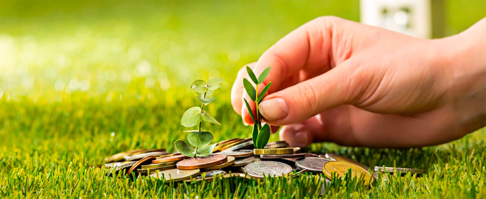 crecimiento-financiero-venga-ya